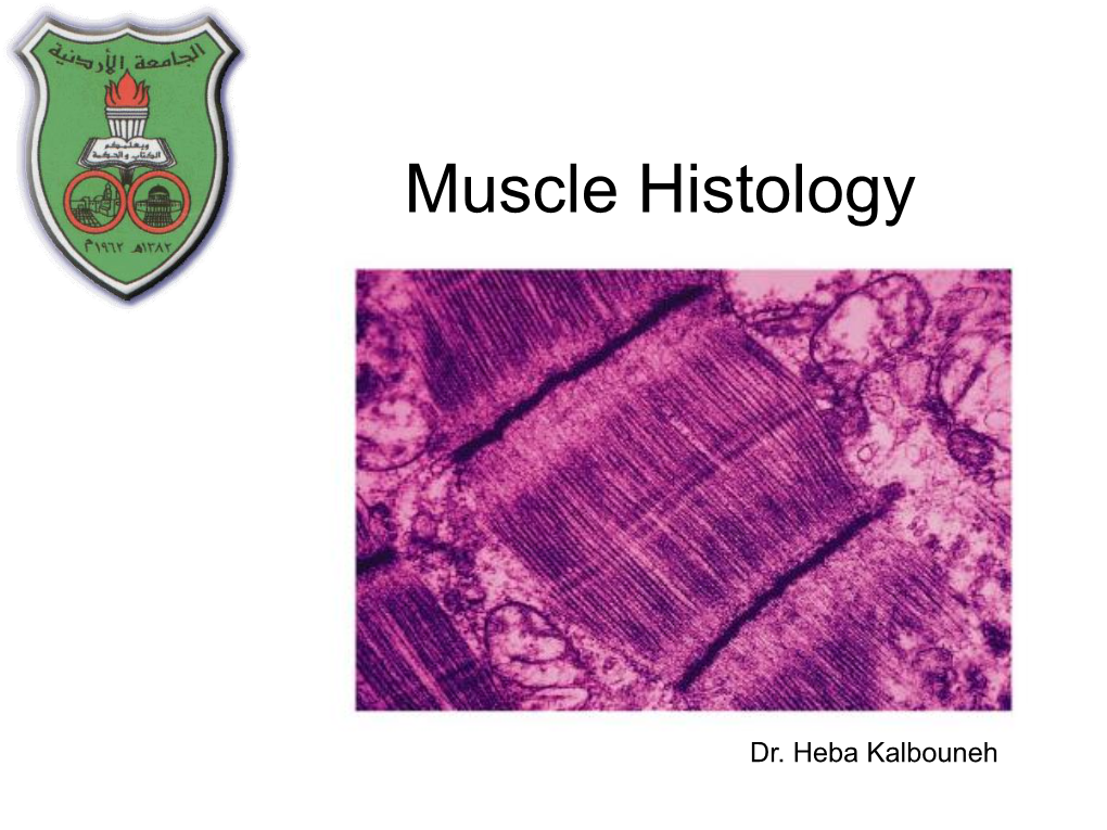 Muscle Histology