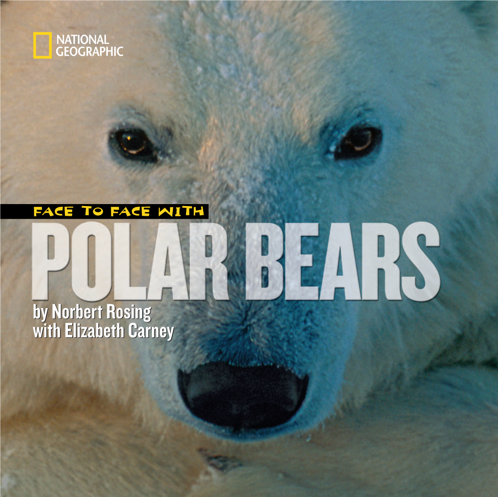 Polar Bears Are One of the Largest a Camera with a Telephoto Lens