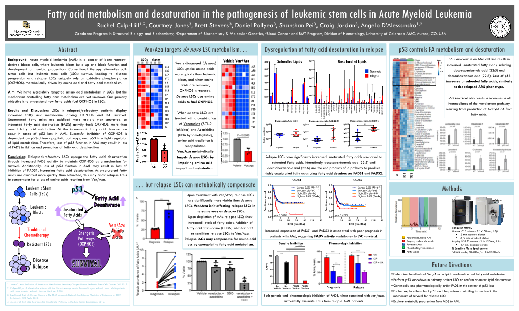 Fatty Acid Metabolism and Desaturation in the Pathogenesis of Leukemic Stem Cells in Acute Myeloid Leukemia