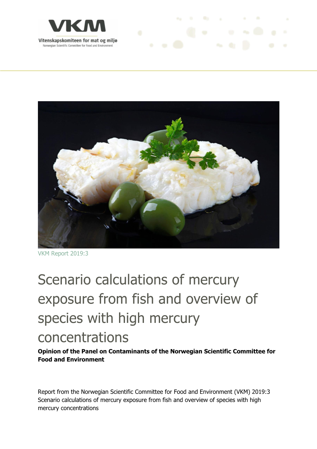 Scenario Calculations of Mercury Exposure