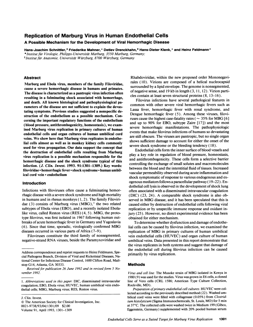 Replication of Marburg Virus in Human Endothelial Cells a Possible Mechanism for the Development of Viral Hemorrhagic Disease