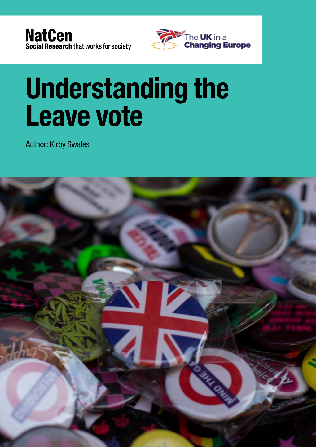 Understanding the Leave Vote