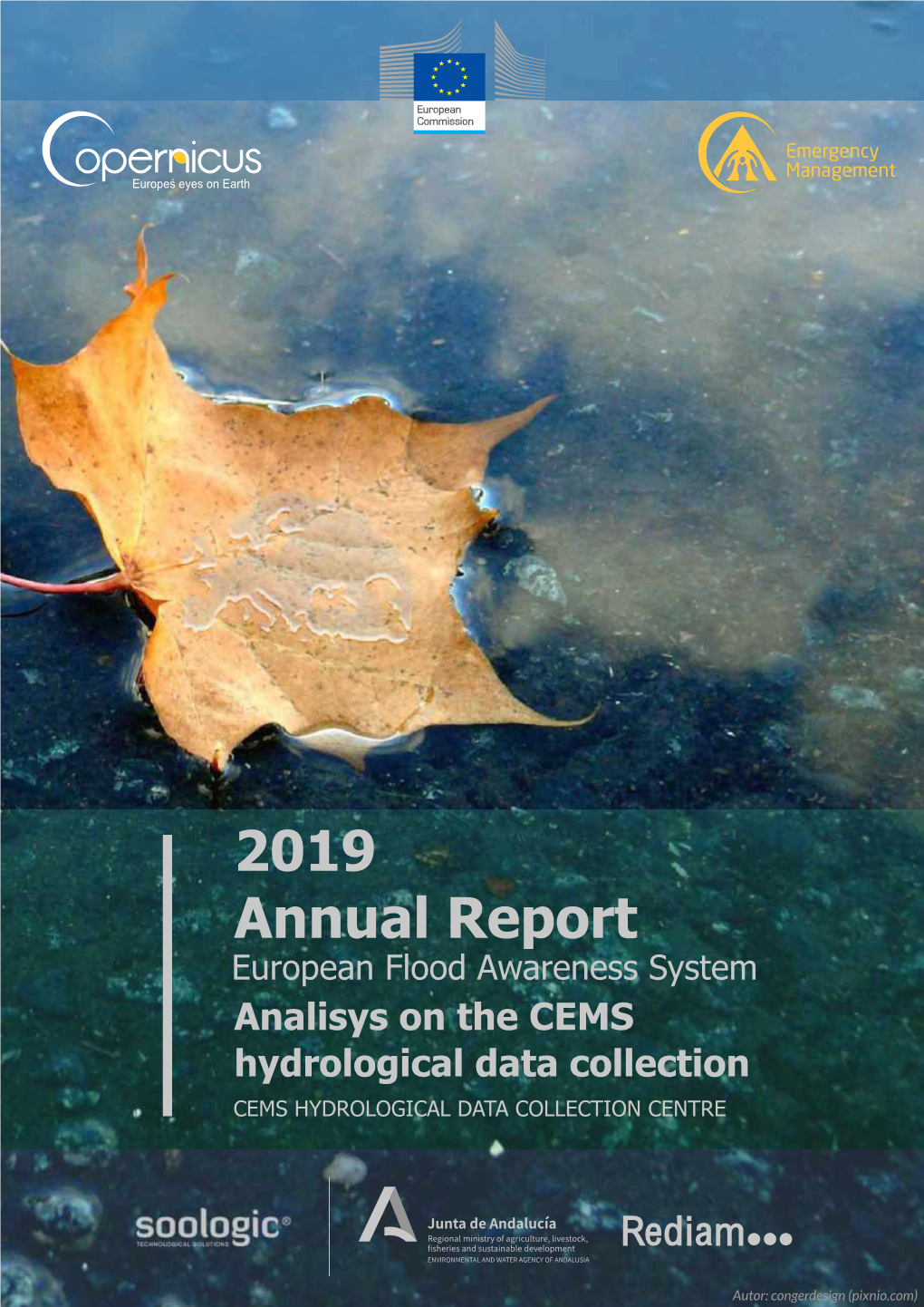 2019 Annual Report European Flood Awareness System Analisys on the CEMS Hydrological Data Collection CEMS HYDROLOGICAL DATA COLLECTION CENTRE