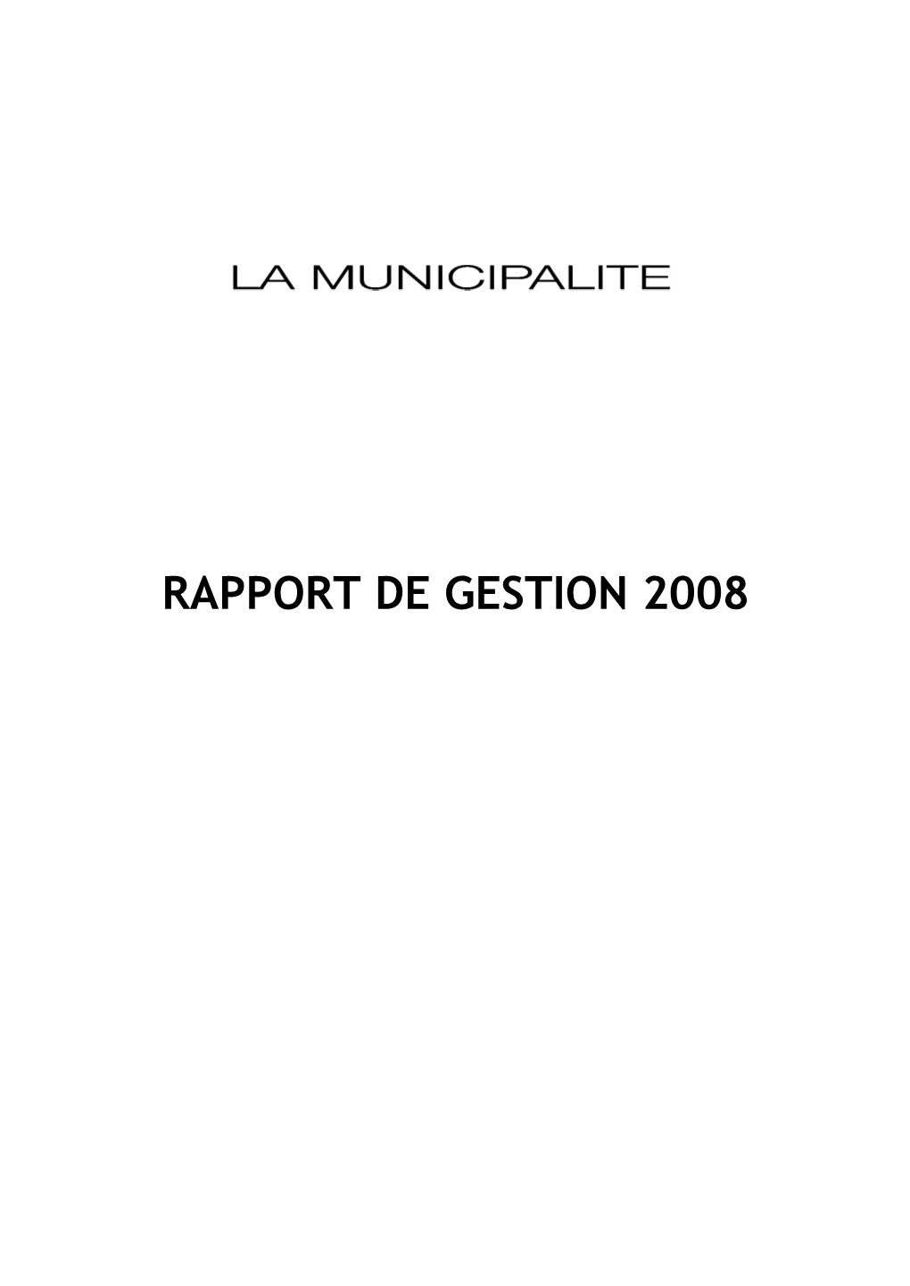 Rapport De Gestion 2008