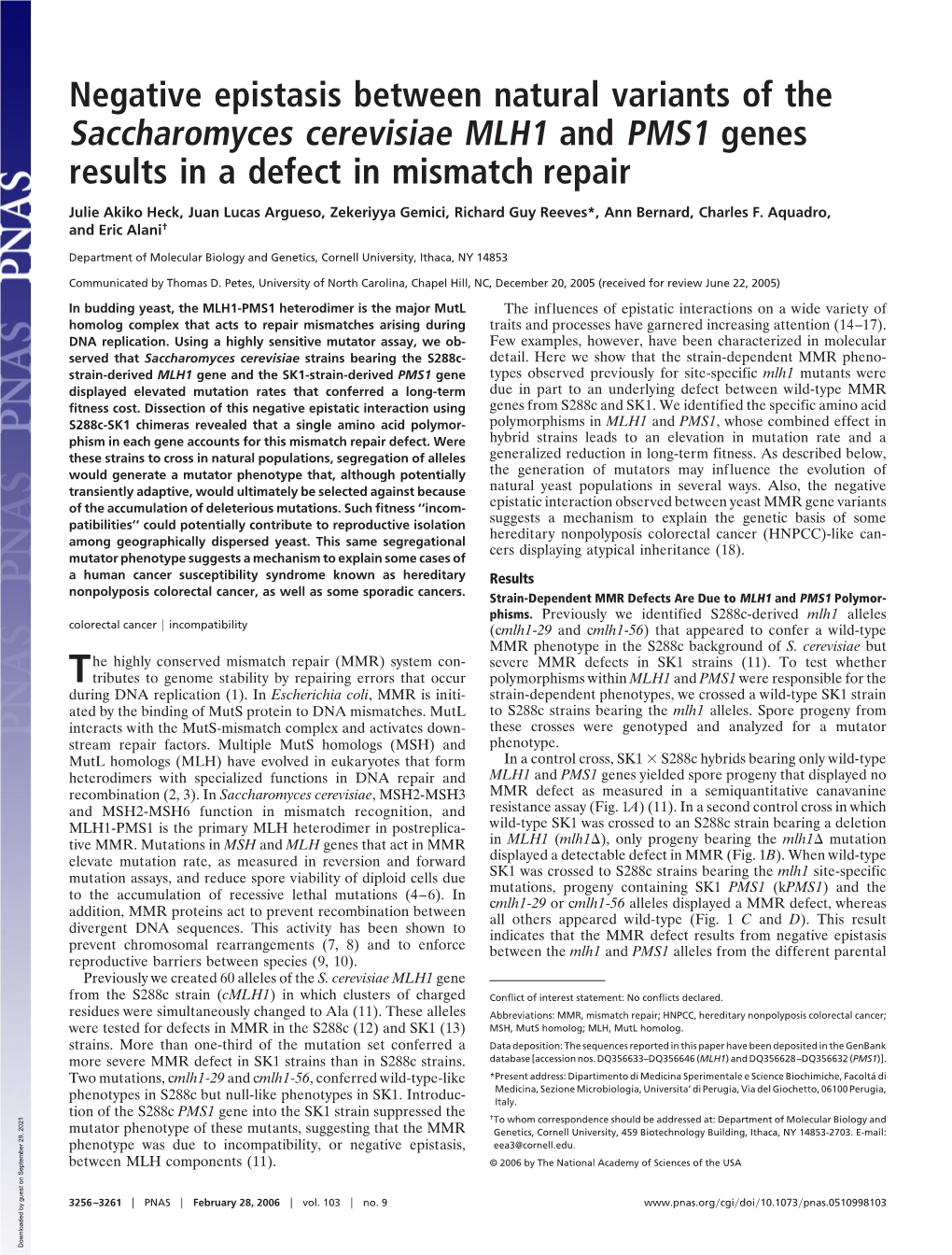 Negative Epistasis Between Natural Variants of the Saccharomyces Cerevisiae MLH1 and PMS1 Genes Results in a Defect in Mismatch Repair