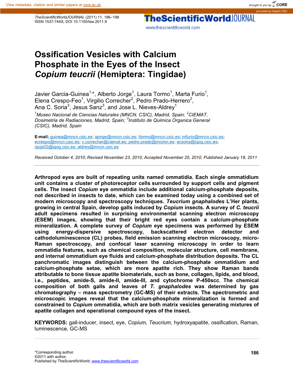 Ossification Vesicles with Calcium Phosphate in the Eyes of the Insect Copium Teucrii (Hemiptera: Tingidae)