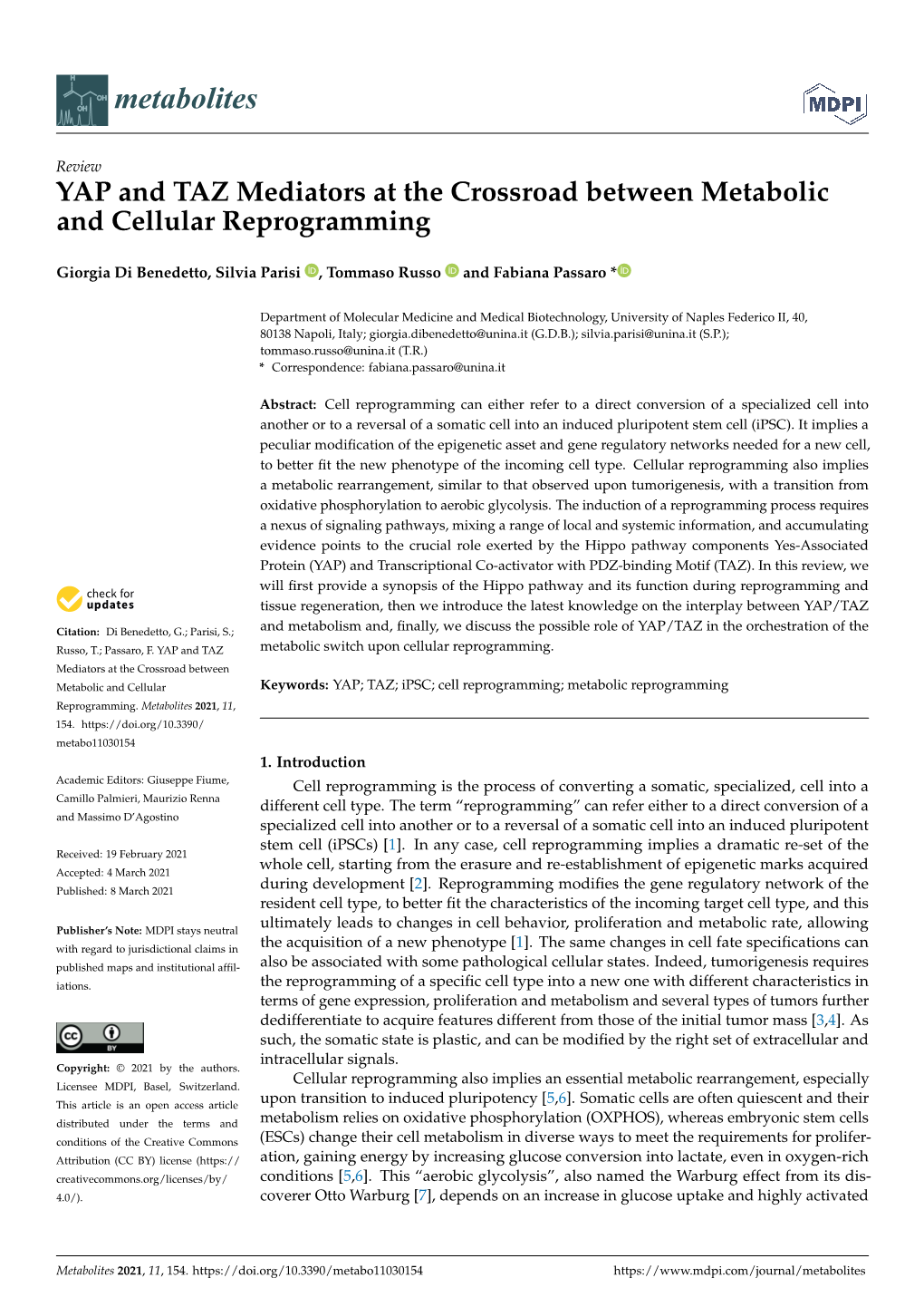 YAP and TAZ Mediators at the Crossroad Between Metabolic and Cellular Reprogramming