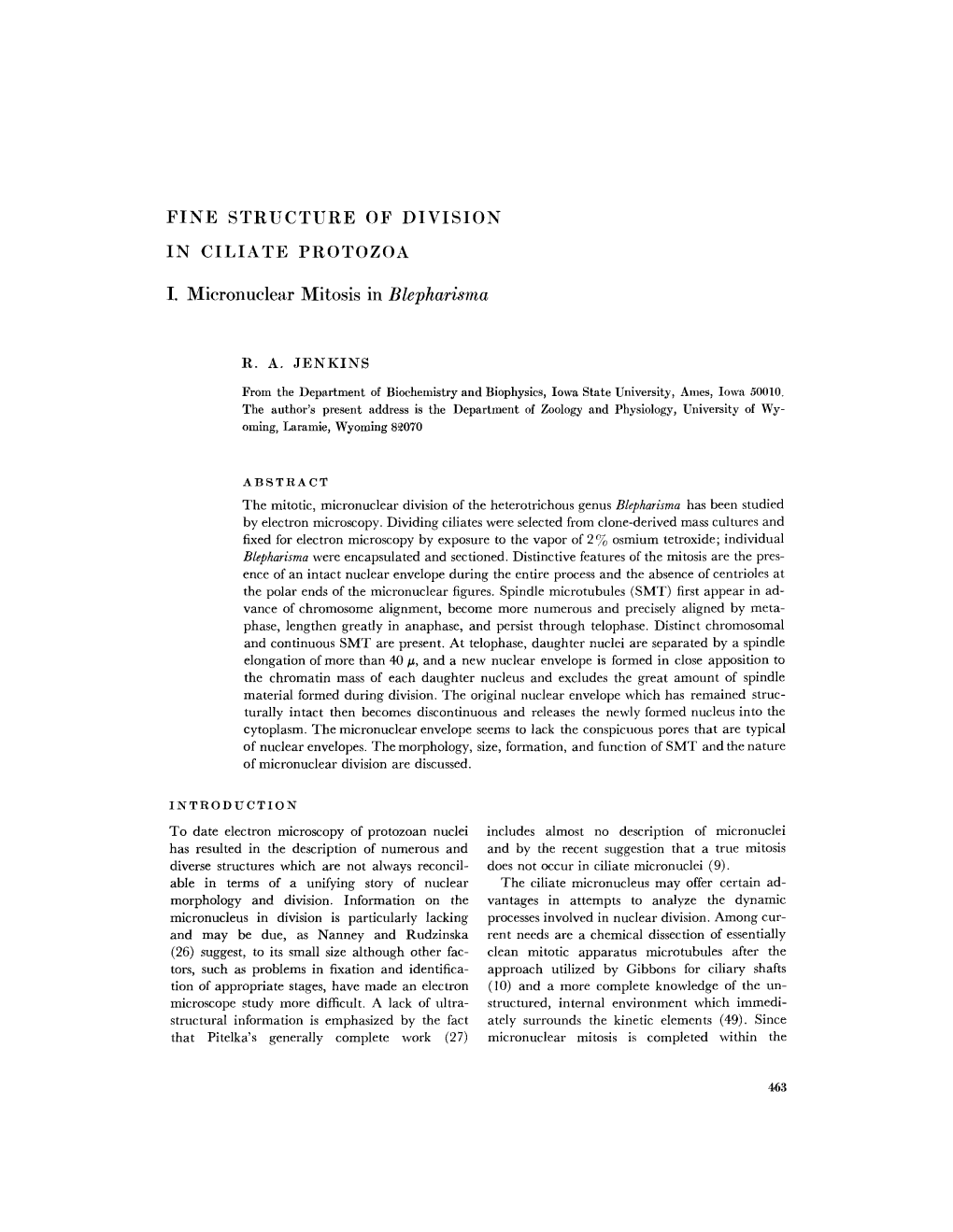 Fine Structure of Division in Ciliate Protozoa I