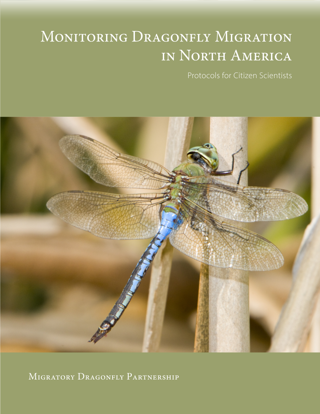 Monitoring Dragonfly Migration in North America Protocols for Citizen Scientists