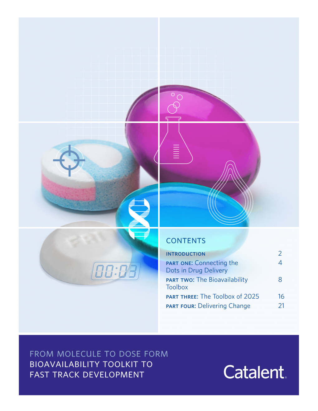 From Molecule to Dose Form Bioavailability Toolkit to Fast Track Development Introduction