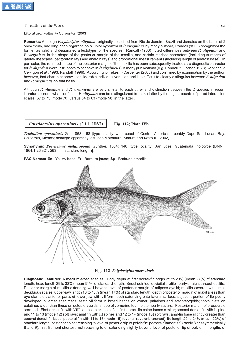 Polydactylus Opercularis (Gill, 1863) Fig