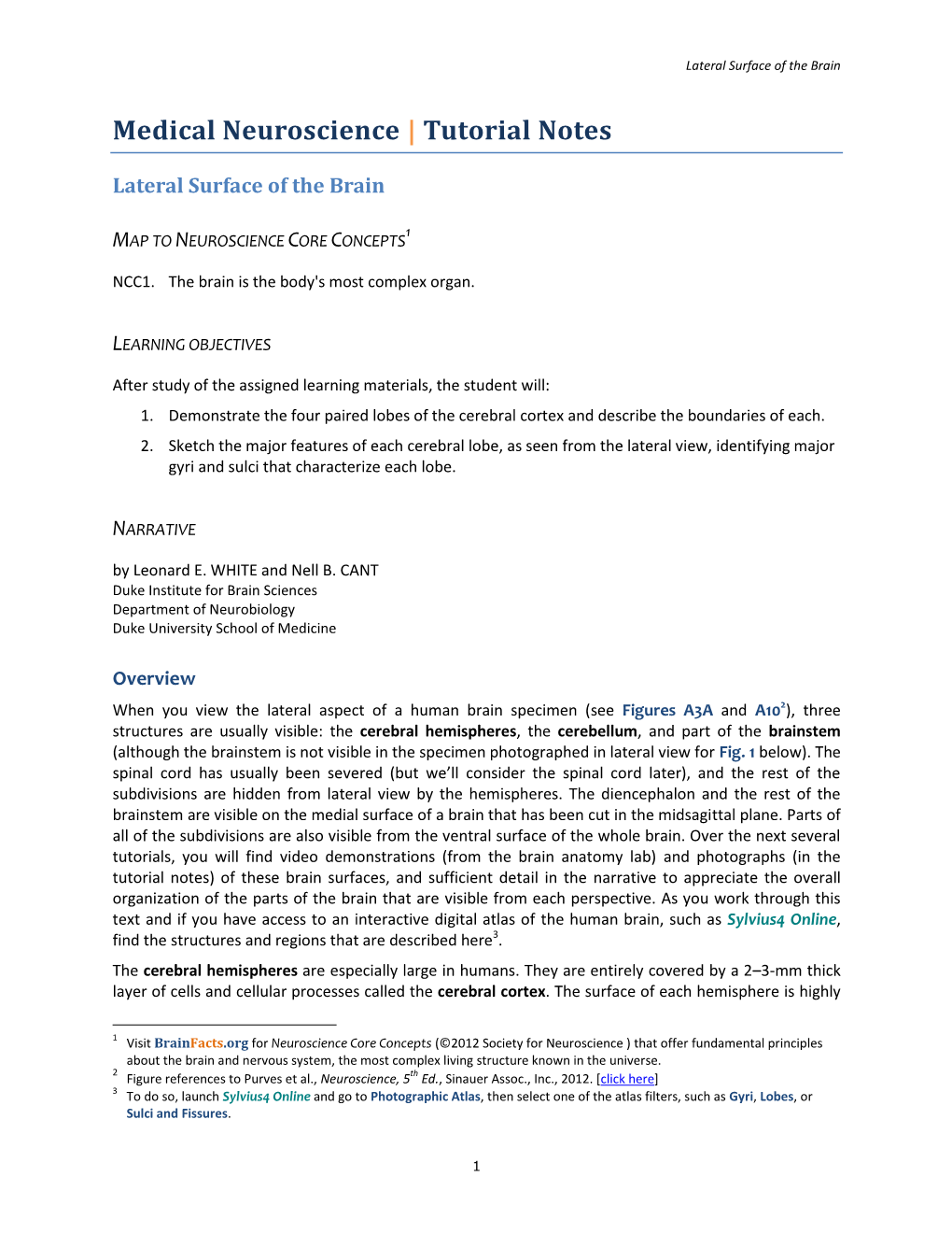 01 05 Lateral Surface of the Brain-NOTES.Pdf