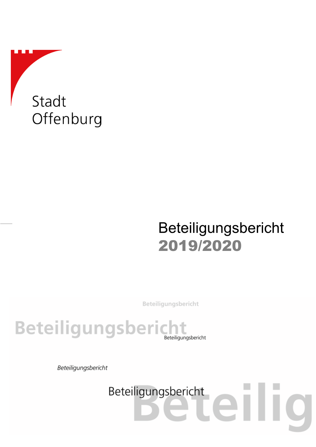 Beteiligungsbericht 2019/2020