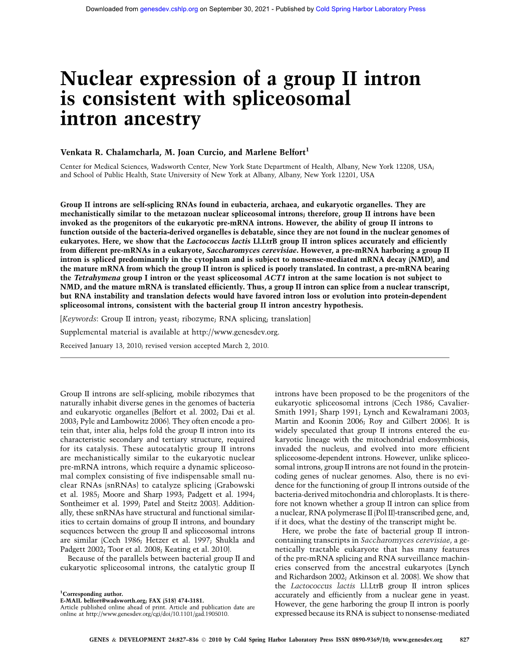 Nuclear Expression of a Group II Intron Is Consistent with Spliceosomal Intron Ancestry