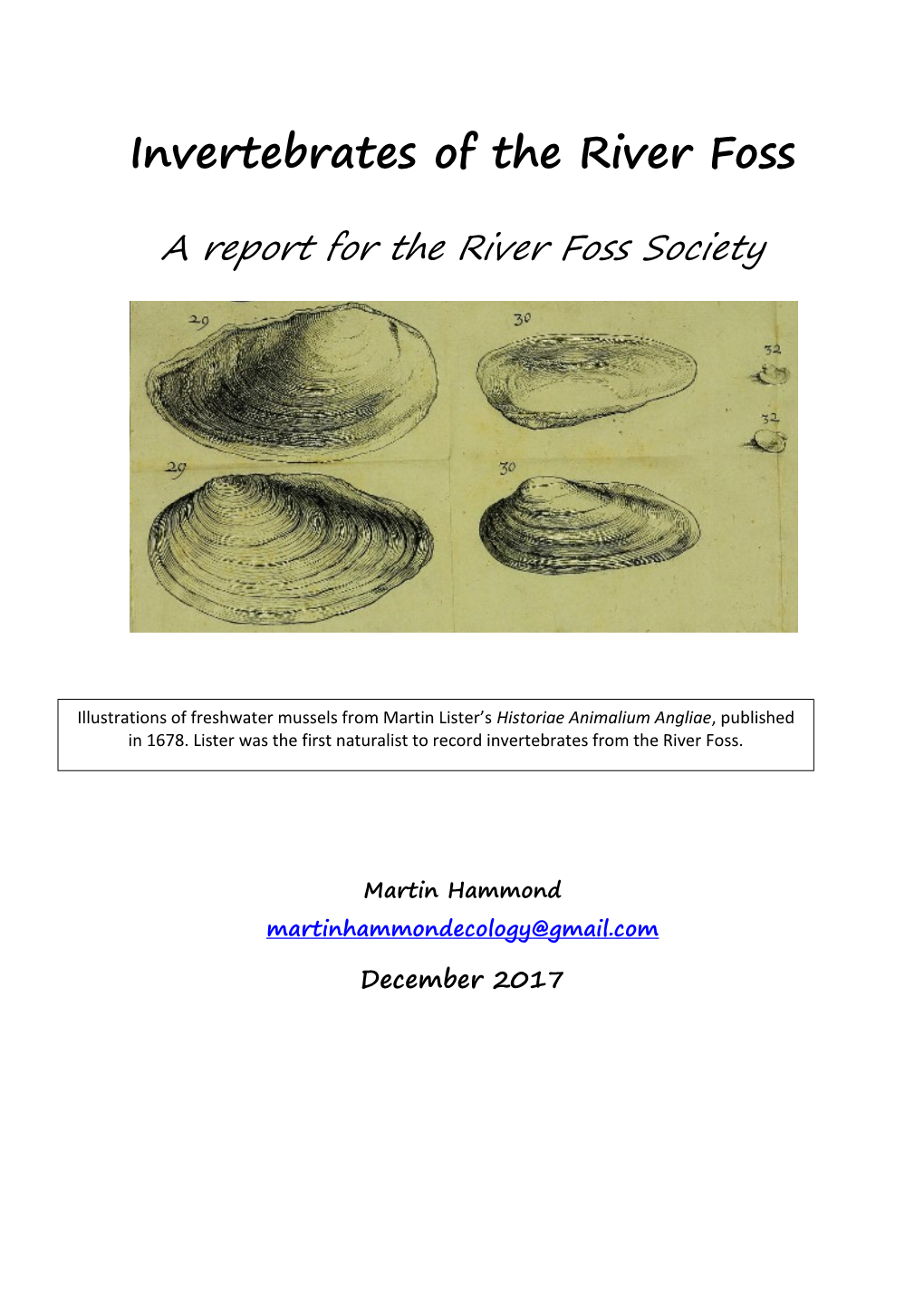 Invertebrates of the River Foss