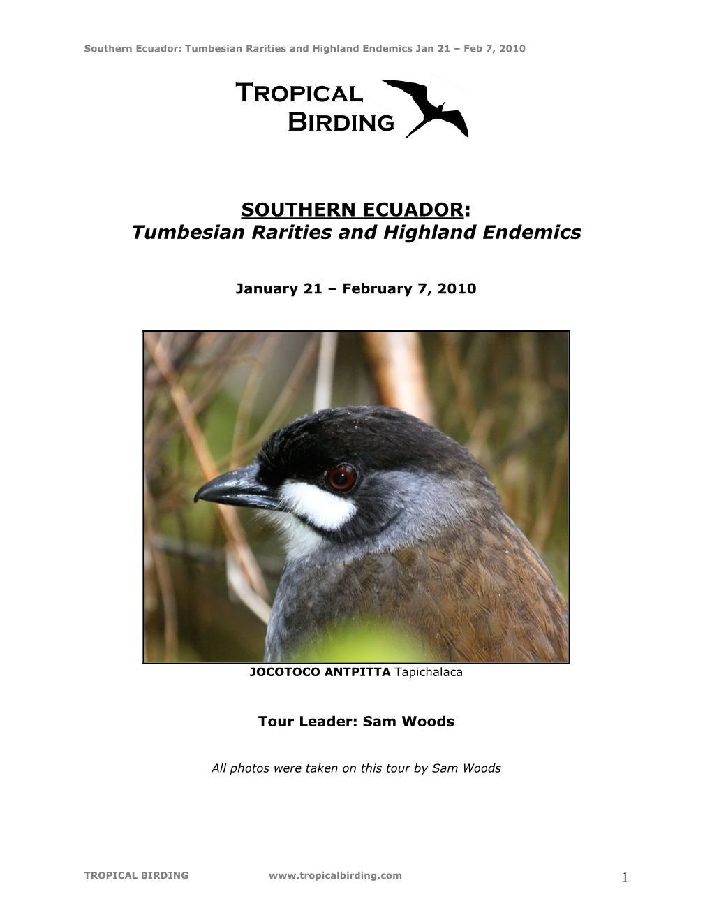 Southern Ecuador: Tumbesian Rarities and Highland Endemics Jan 21 – Feb 7, 2010