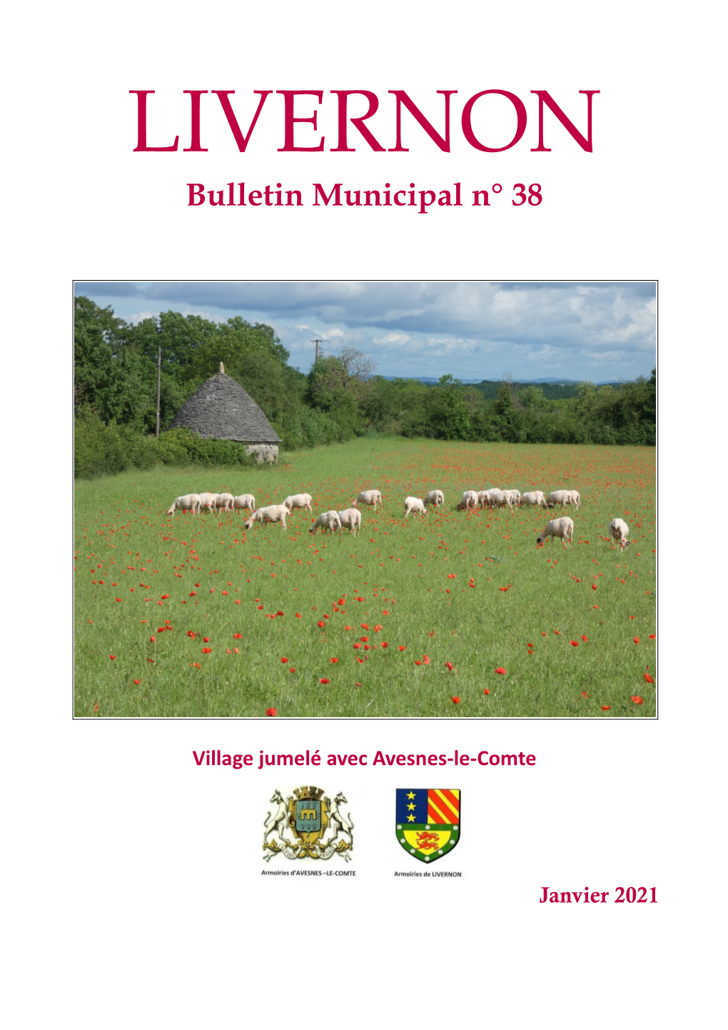 Bulletin Municipal N° 38