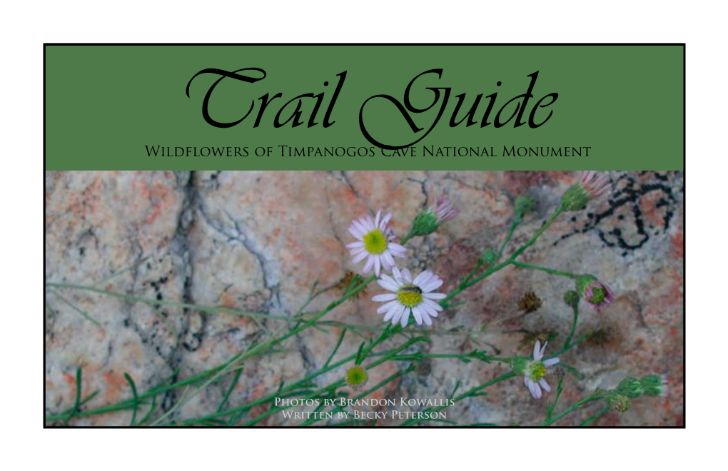 Wildflowers of Timpanogos Cave National Monument