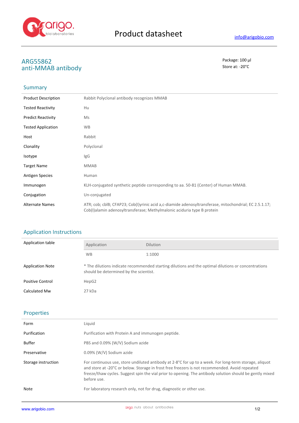 Anti-MMAB Antibody (ARG55862)