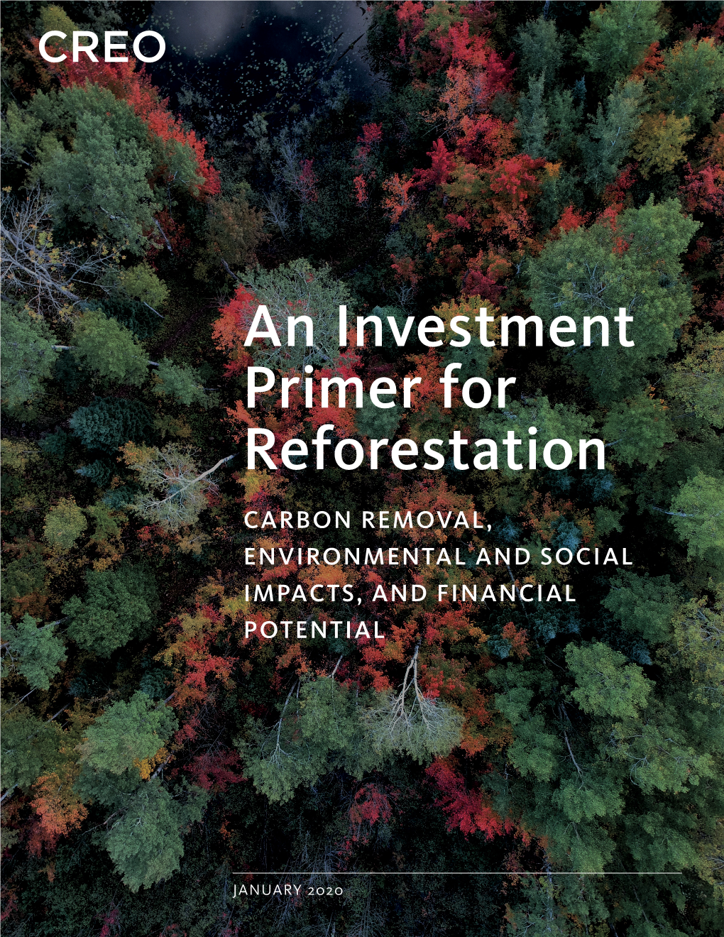 An Investment Primer for Reforestation CARBON REMOVAL, ENVIRONMENTAL and SOCIAL IMPACTS, and FINANCIAL POTENTIAL