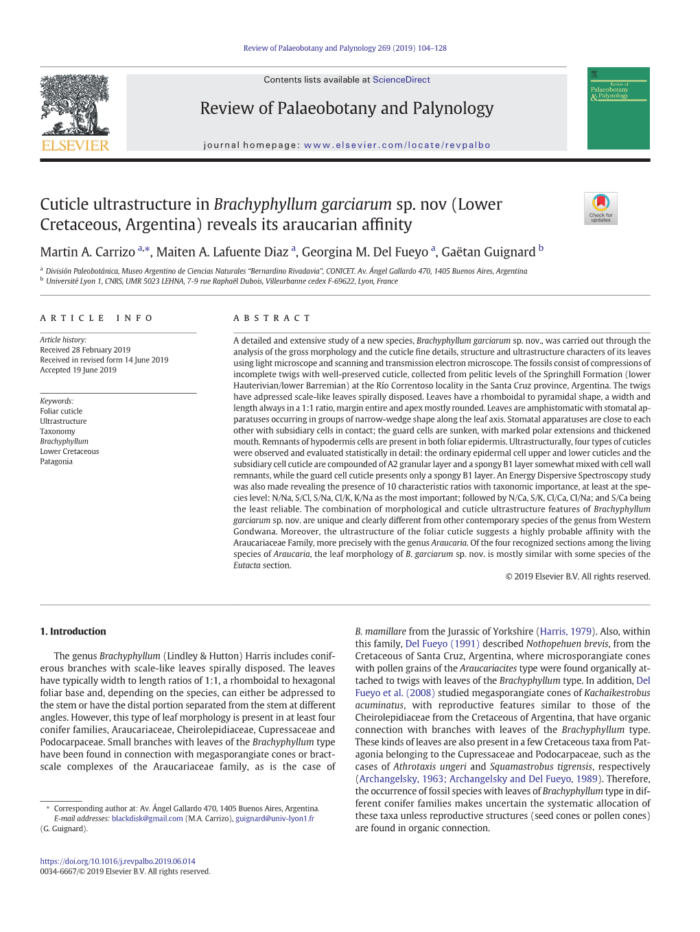 Cuticle Ultrastructure in Brachyphyllum Garciarum Sp. Nov (Lower Cretaceous, Argentina) Reveals Its Araucarian Afﬁnity