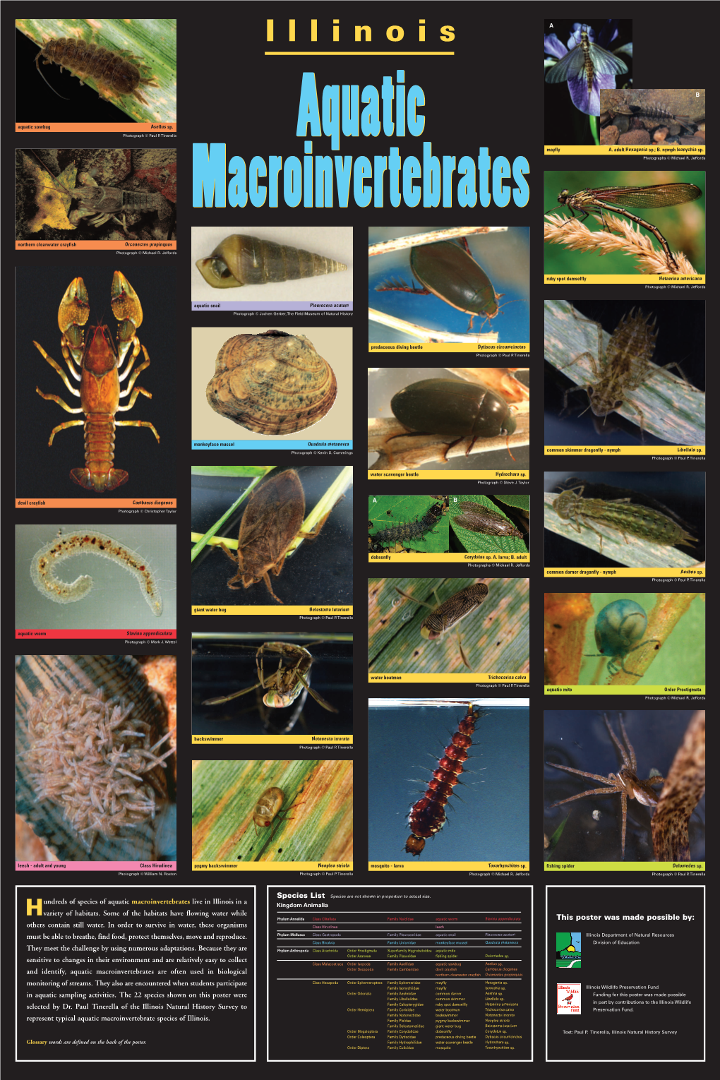 Hundreds of Species of Aquatic Macroinvertebrates Live in Illinois In