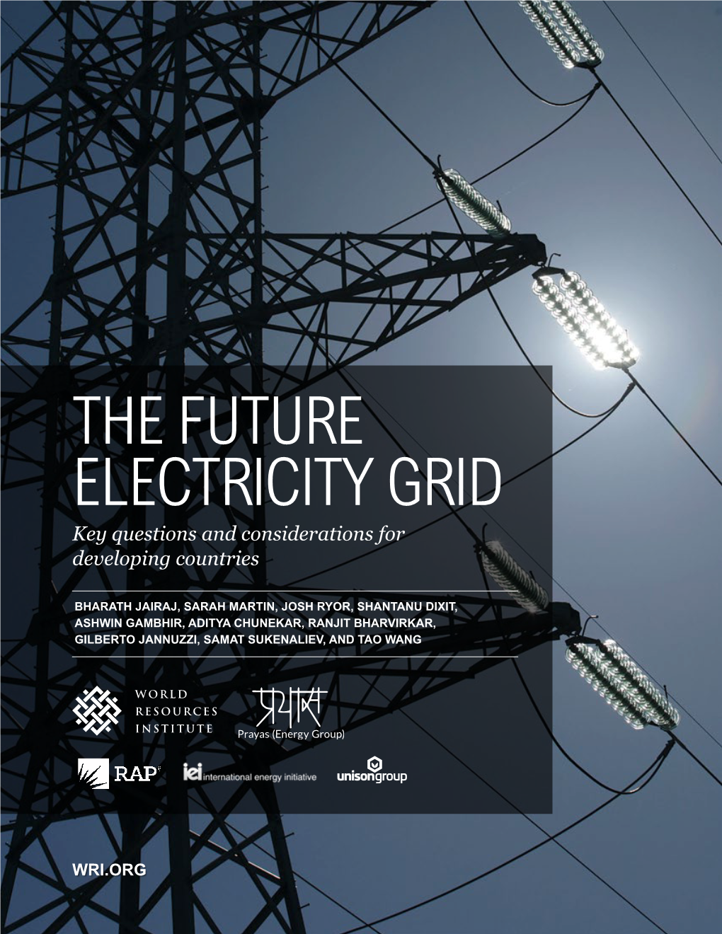 THE FUTURE ELECTRICITY GRID Key Questions and Considerations for Developing Countries