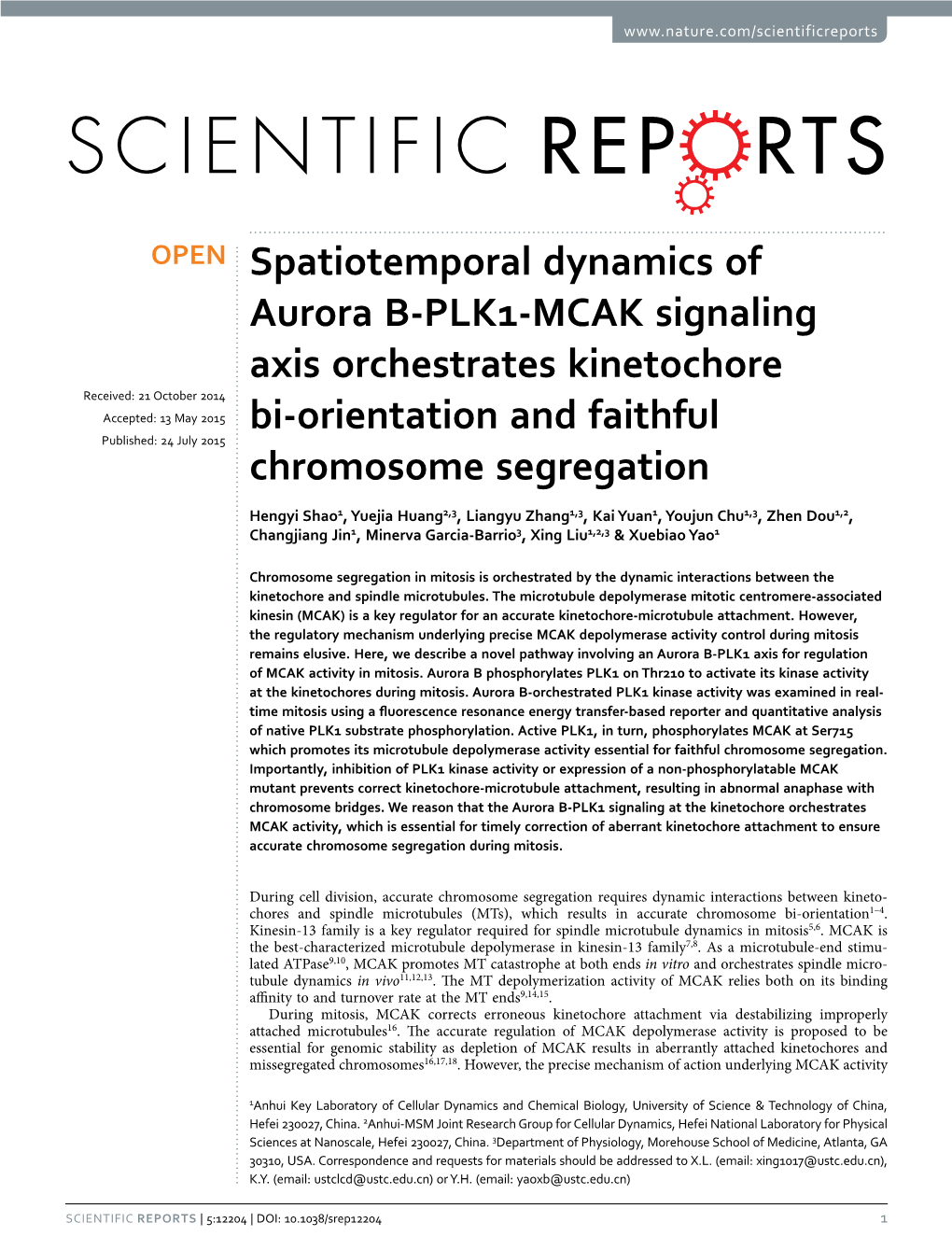 Spatiotemporal Dynamics of Aurora B-PLK1-MCAK Signaling Axis