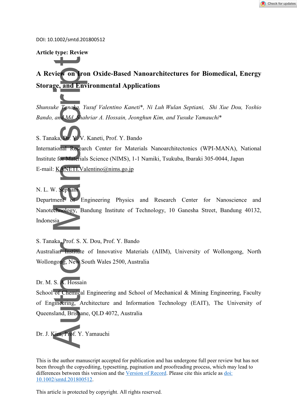 A Review on Iron Oxide‐Based Nanoarchitectures for Biomedical