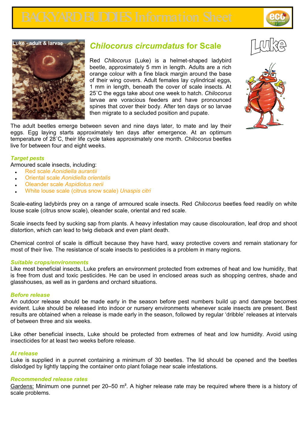 BACKYARD BUDDIES Information Sheet Chilocorus Circumdatus for Scale