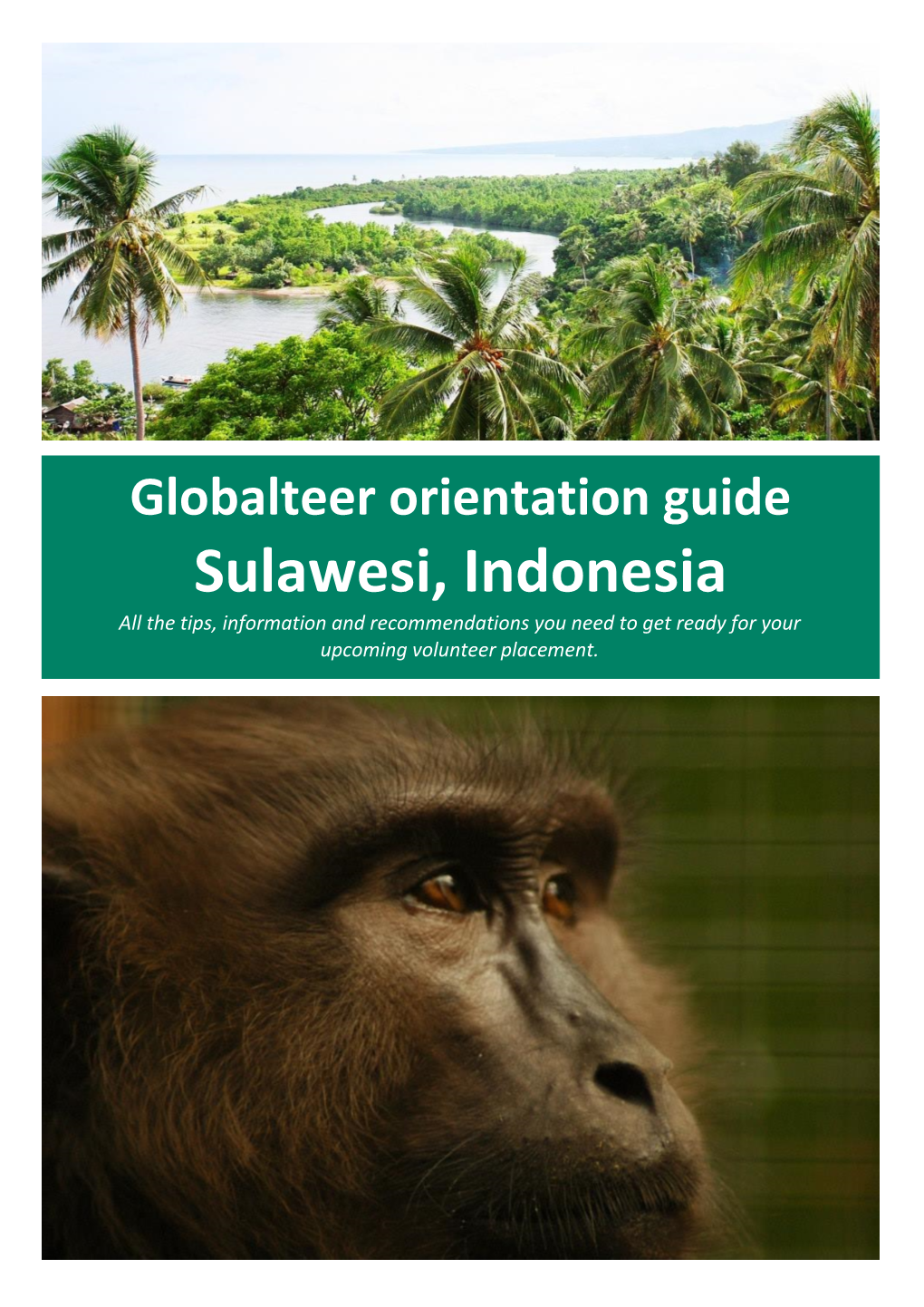 Orientation Guide