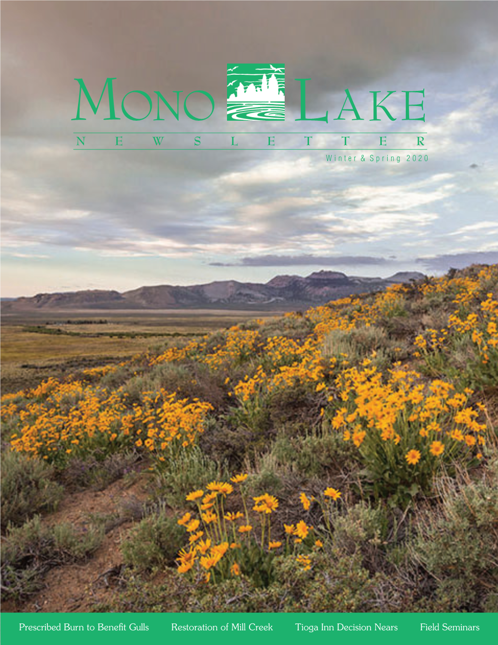 Winter & Spring 2020 Mono Lake Newsletter