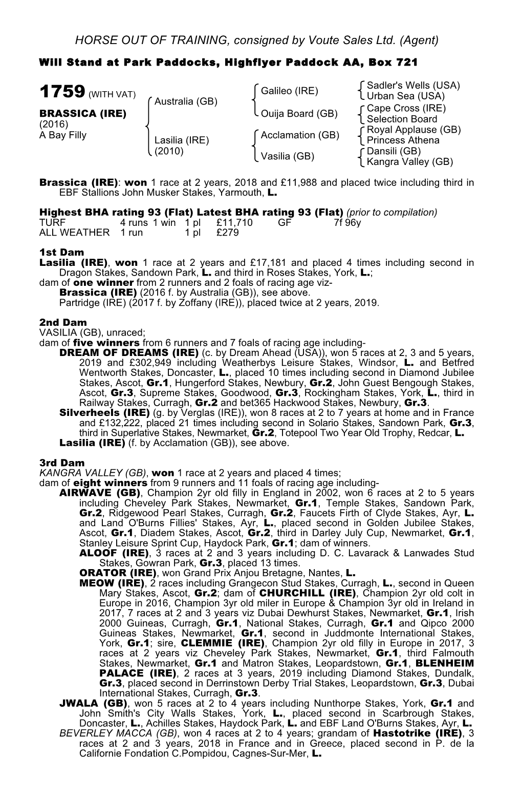 HORSE out of TRAINING, Consigned by Voute Sales Ltd