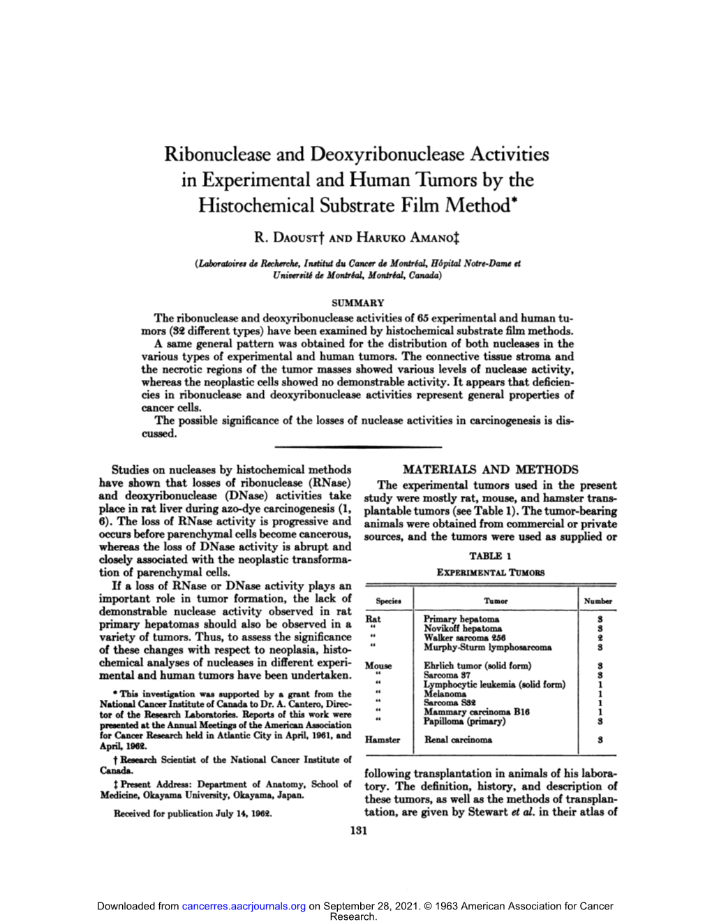 Ribonuclease and Deoxyribonuclease Activities in Experimental and Human Tumors by the Histochemical Substrate Film Method*