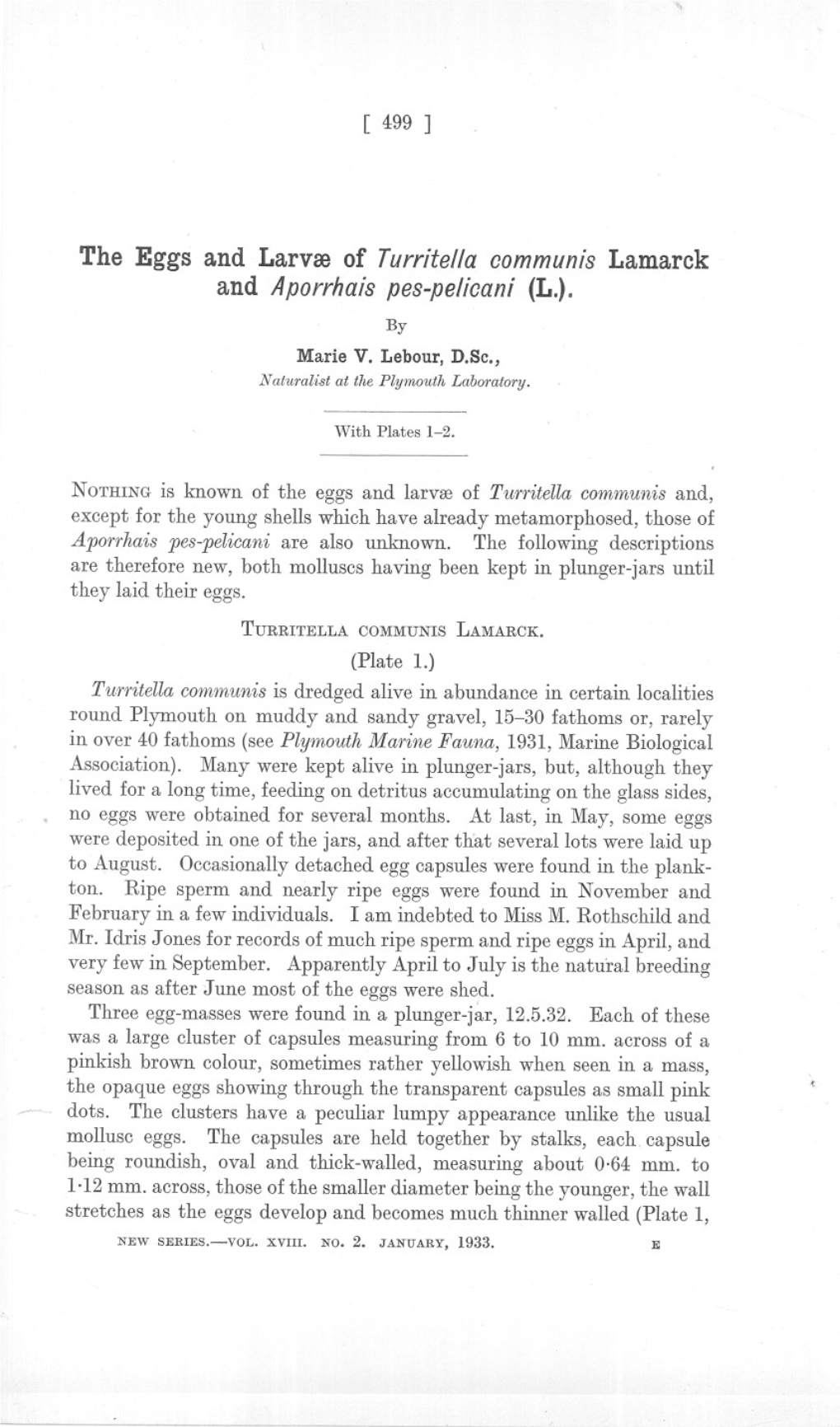 The Eggs and Larvre of Turritella Communis Lamarck and Aporrhais Pes-Pelicani (L.)