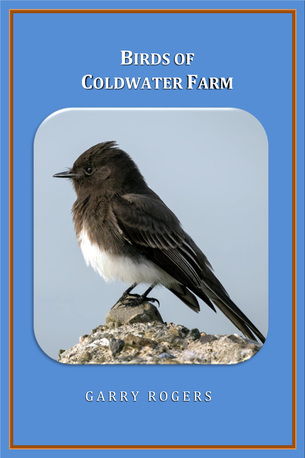 Birds of Coldwater Farm