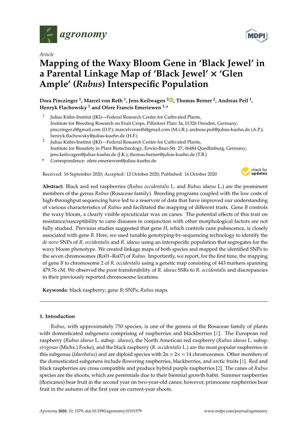 Mapping of the Waxy Bloom Gene in 'Black Jewel'