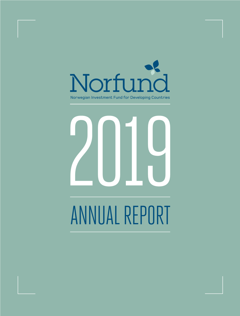 Annual Report Directors’ Report