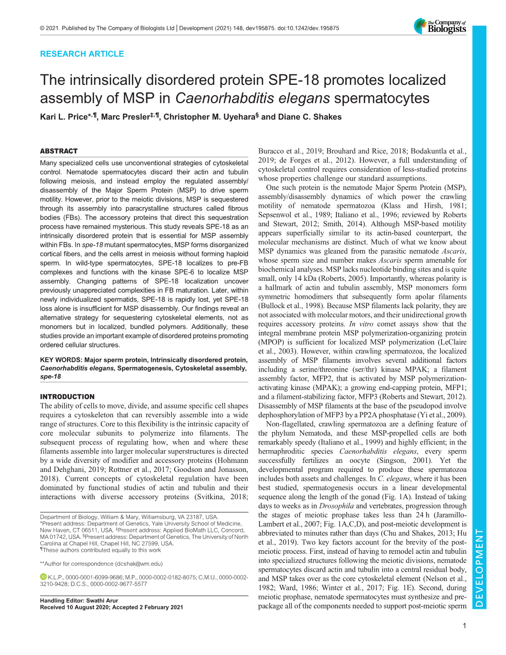 The Intrinsically Disordered Protein SPE-18 Promotes Localized Assembly of MSP in Caenorhabditis Elegans Spermatocytes Kari L