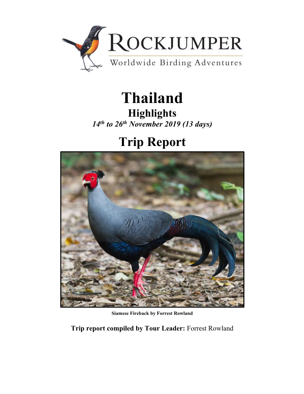 Thailand Highlights 14Th to 26Th November 2019 (13 Days)