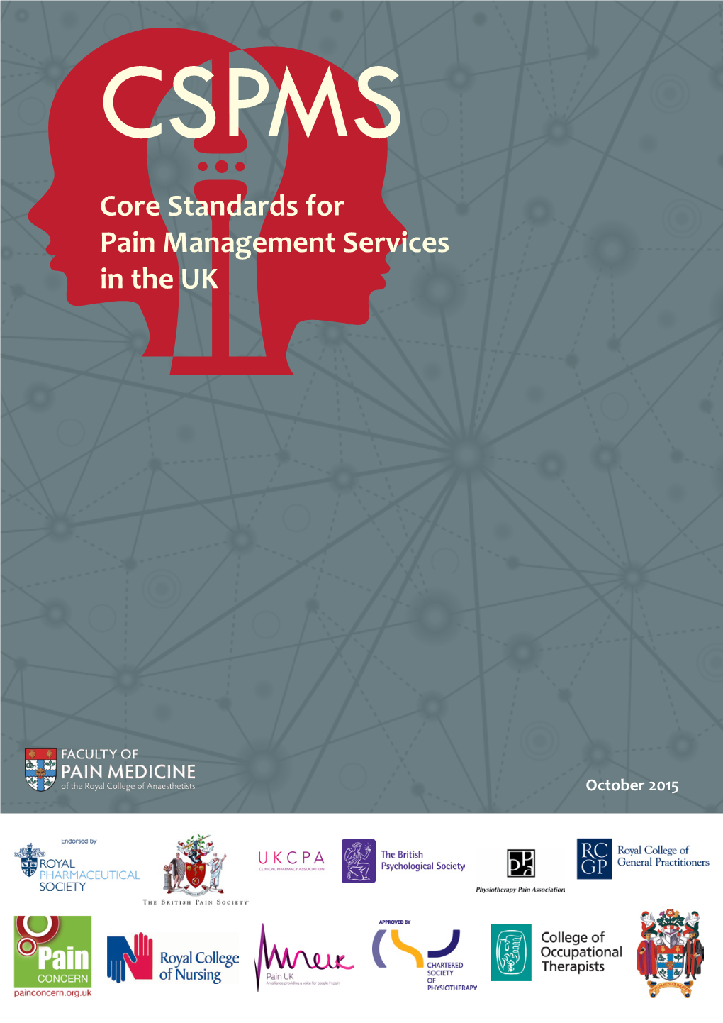 Core Standards for Pain Management Services in the UK