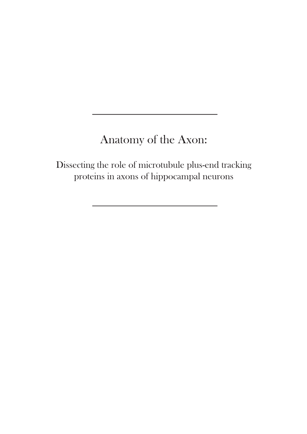 Anatomy of the Axon