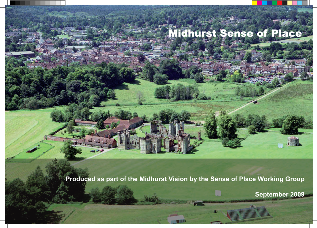 Midhurst Sense of Place