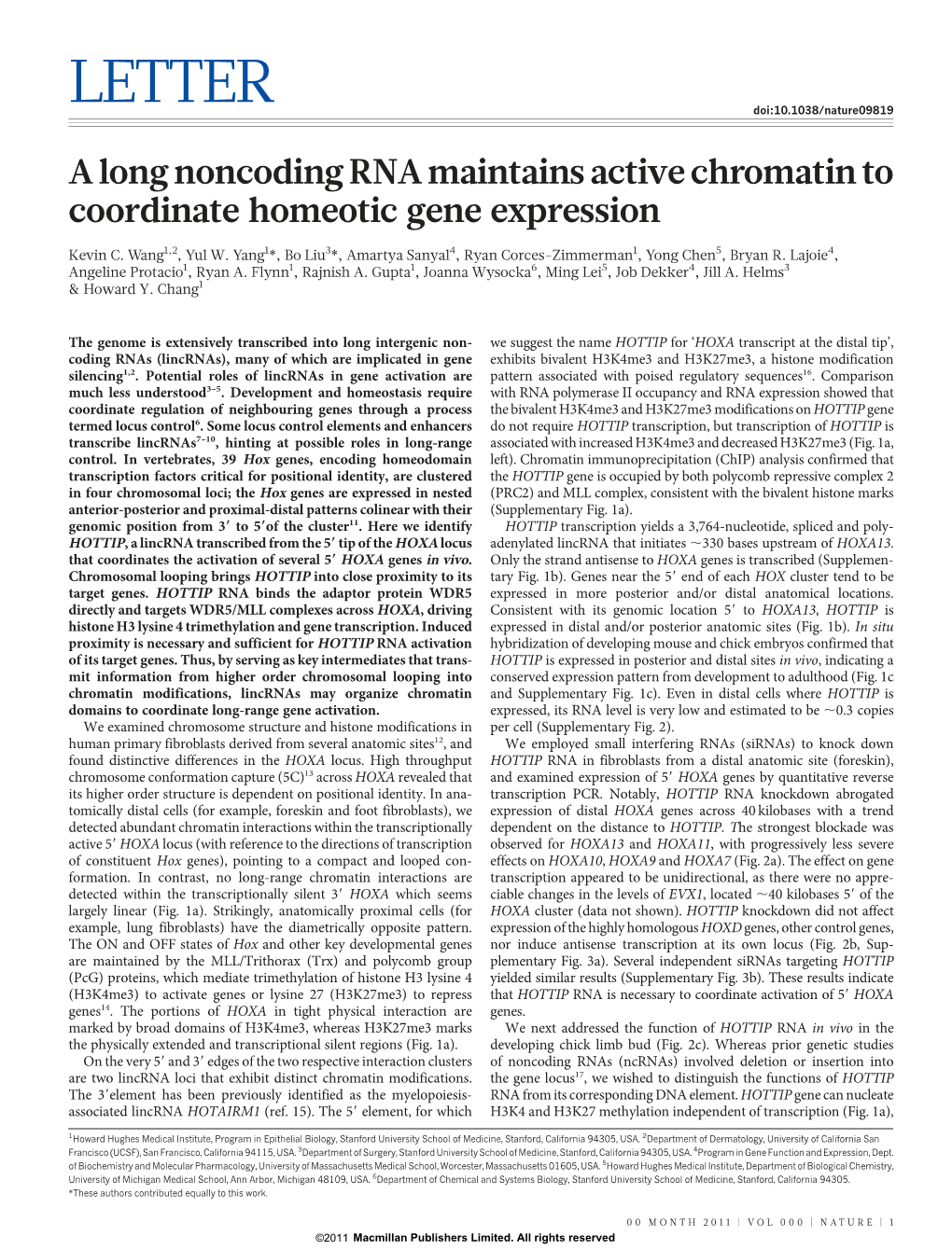 A Long Noncoding RNA Maintains Active Chromatin to Coordinate Homeotic Gene Expression