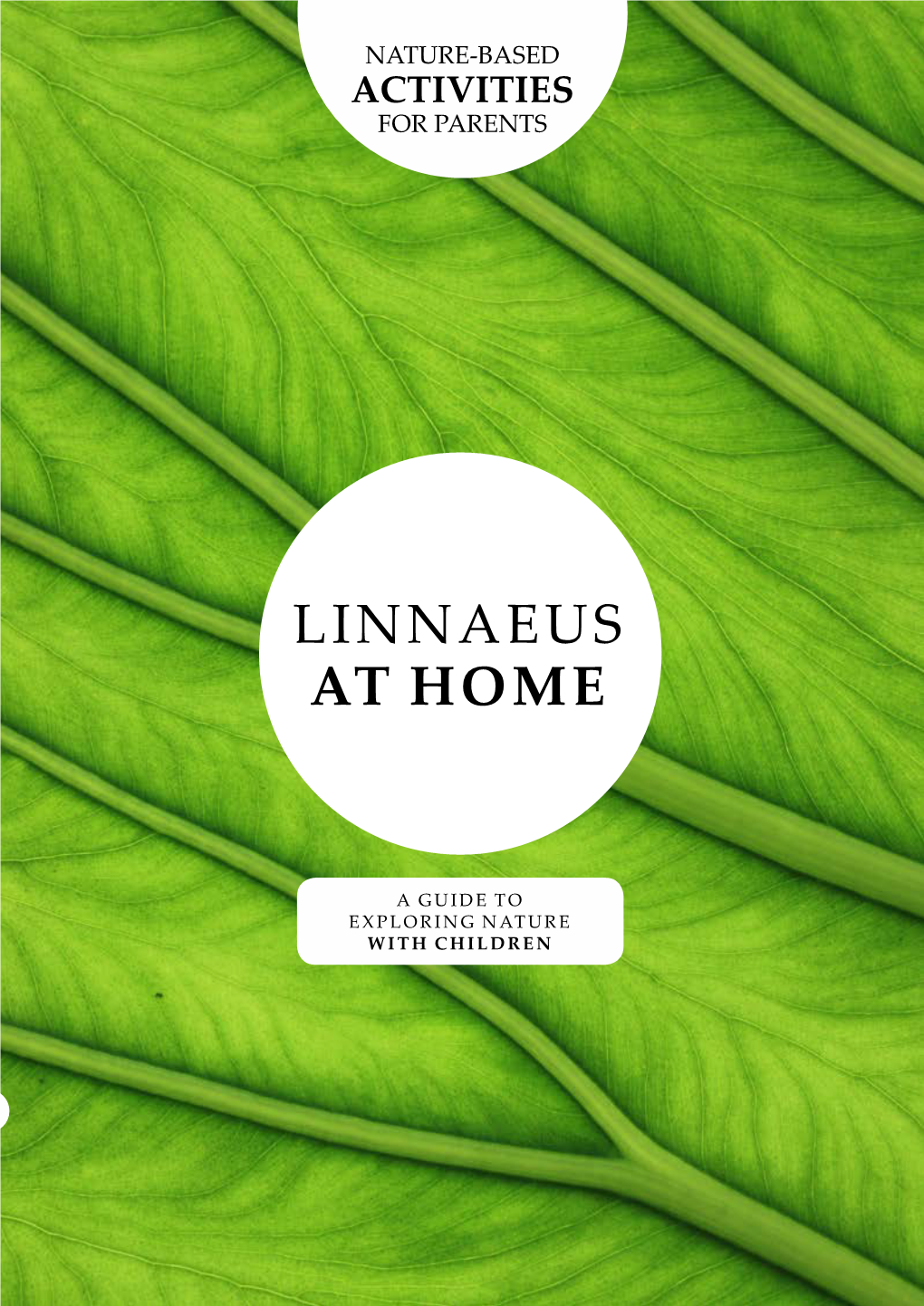 Linnaeus at Home