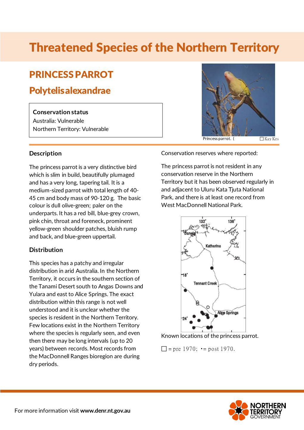 PRINCESS PARROT Polytelis Alexandrae