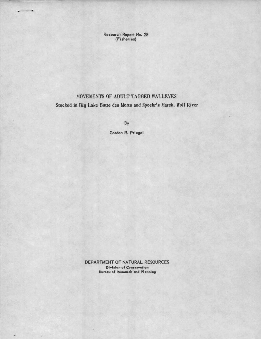 MOVEMENTS of ADULT TAGGED WALLEYES Stqcked Iri Big Lake Butte Des Morts and Spoehr;S Marsh, Wolf Uiver