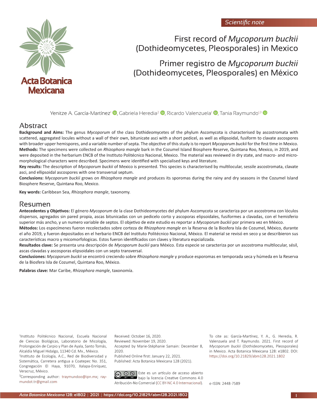 First Record of Mycoporum Buckii (Dothideomycetes, Pleosporales) in Mexico Primer Registro De Mycoporum Buckii (Dothideomycetes, Pleosporales) En México