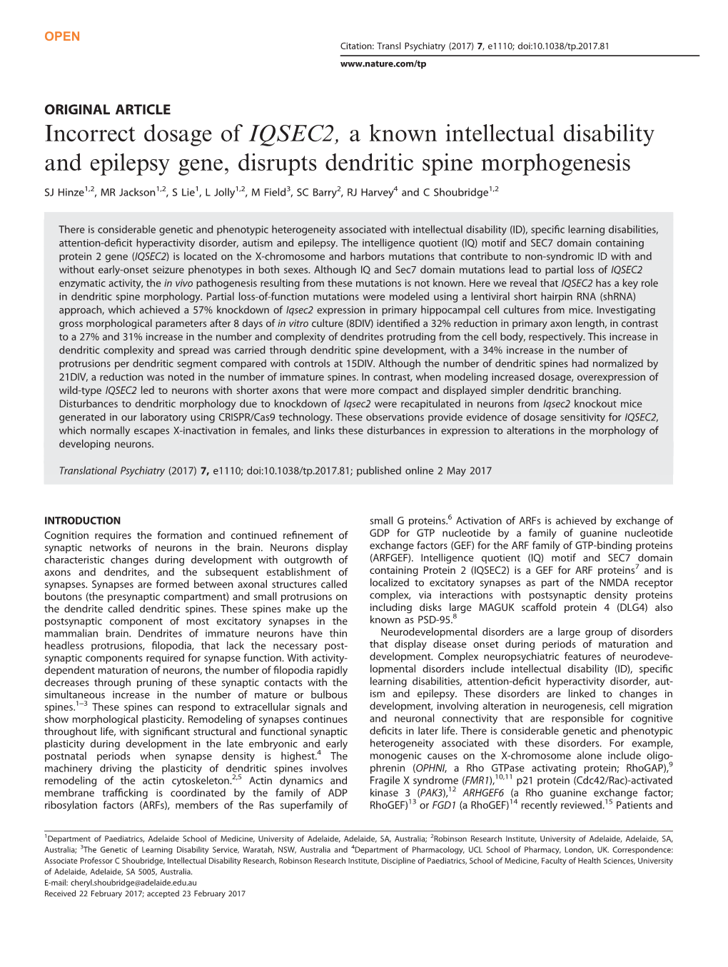 Incorrect Dosage of IQSEC2, a Known Intellectual Disability and Epilepsy Gene, Disrupts Dendritic Spine Morphogenesis