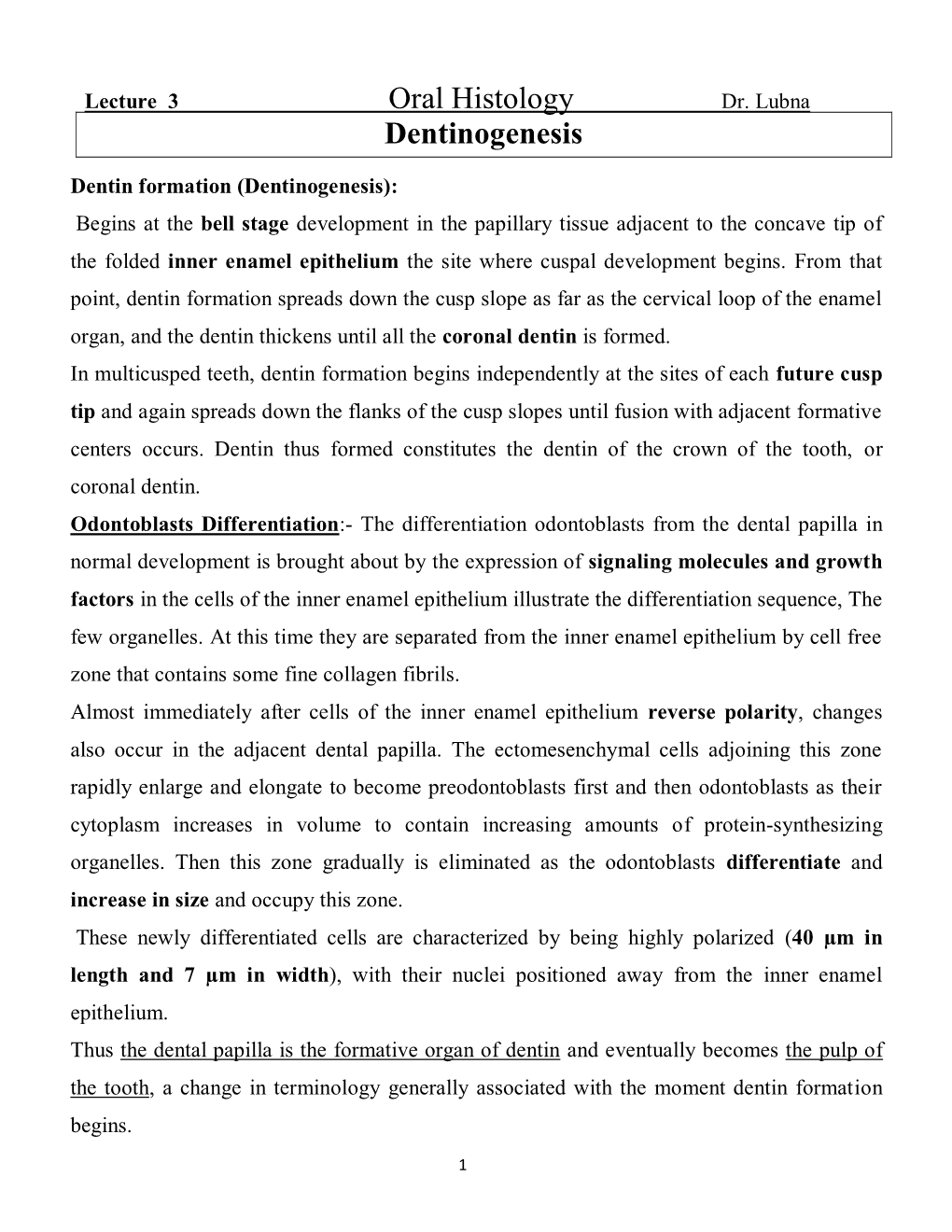 Oral Histology Dentinogenesis